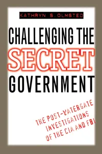 Challenging the Secret Government_cover