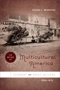 The Rise of Multicultural America_cover