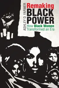 Remaking Black Power_cover
