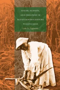 Sugar, Slavery, and Freedom in Nineteenth-Century Puerto Rico_cover