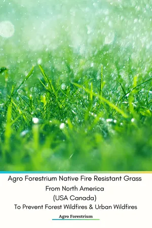 Agro Forestrium Native Fire Resistant Grass From North America (USA Canada) To Prevent Forest Wildfires & Urban Wildfires