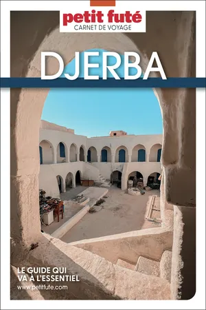 Guide Djerba 2026 Carnet Petit Futé