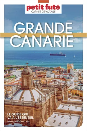 Guide Grande Canarie 2026 Carnet Petit Futé