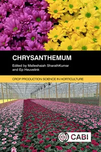 Chrysanthemum_cover