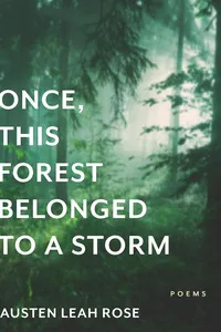 Once, This Forest Belonged to a Storm_cover