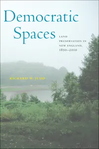 Democratic Spaces_cover