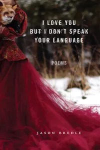 I Love You But I Don't Speak Your Language_cover