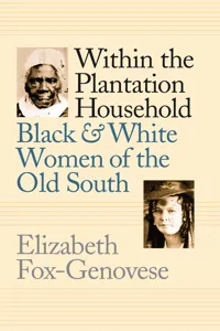 Within the Plantation Household_cover