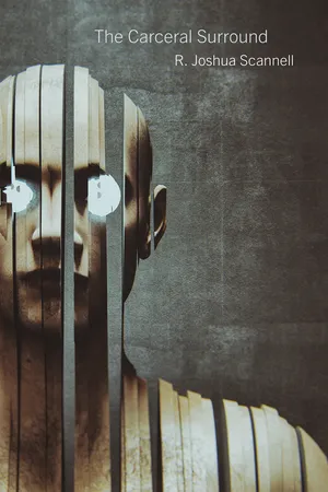 The Carceral Surround