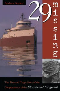 29 Missing_cover
