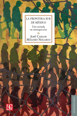 La frontera sur de México