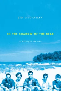 In the Shadow of the Bear_cover