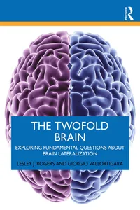 The Twofold Brain