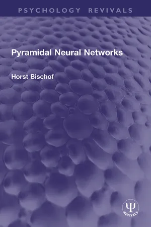 Pyramidal Neural Networks