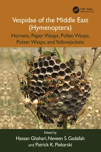 Vespidae of the Middle East