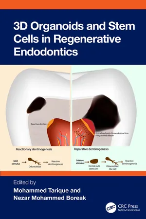 3D Organoids and Stem Cells in Regenerative Endodontics