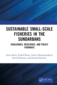 Sustainable Small-Scale Fisheries in the Sundarbans