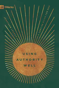 Using Authority Well_cover