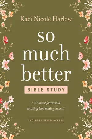 So Much Better Bible Study with Streaming Video Access
