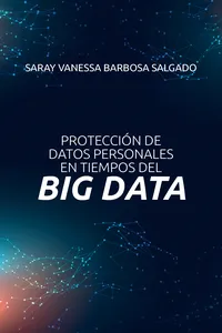 Protección de datos personales en tiempos del big data