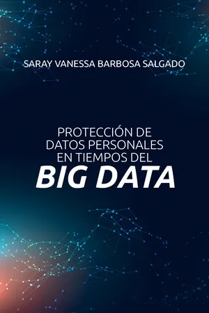 Protección de datos personales en tiempos del big data