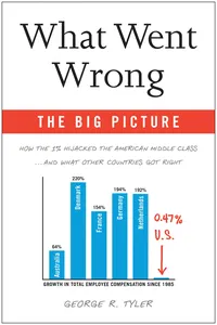 The What Went Wrong: Big Picture_cover