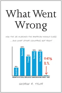 What Went Wrong_cover