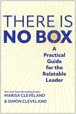 The There Is No Box