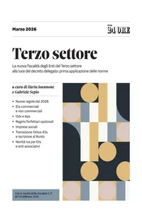 Terzo settore