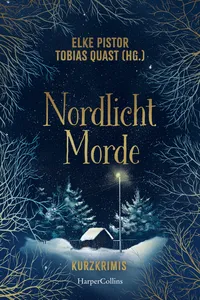 Nordlichtmorde. 20 Kurzkrimis