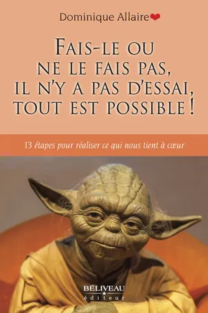 Fais-le ou ne le fais pas, il n’y a pas d’essai, tout est possible!