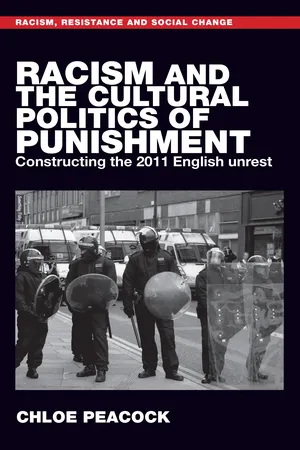 Racism and the cultural politics of punishment