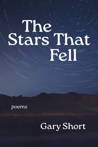 The Stars That Fell_cover