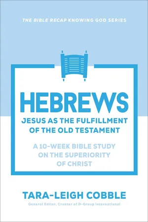 Hebrews (The Bible Recap Knowing God Series)