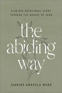 The Abiding Way_cover