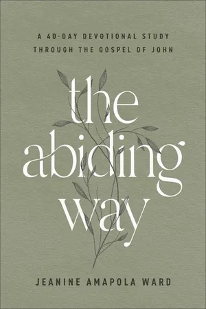 The Abiding Way