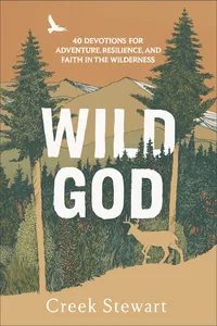 Wild God_cover