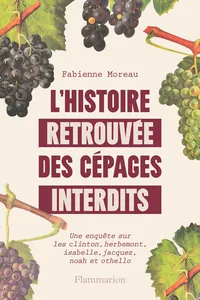 L'histoire retrouvée des cépages interdits