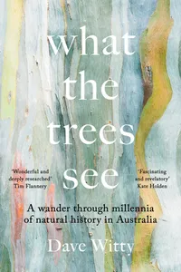 What the Trees See_cover