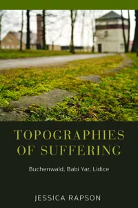 Topographies of Suffering_cover