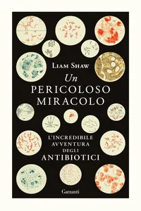 Un pericoloso miracolo_cover