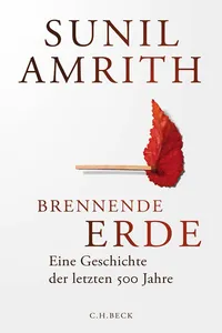 Brennende Erde_cover