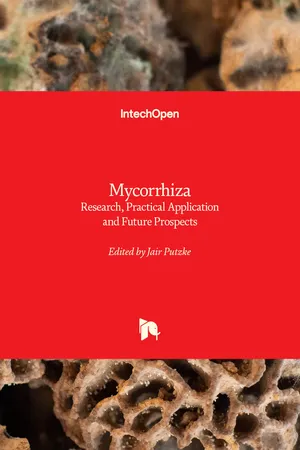 Mycorrhiza