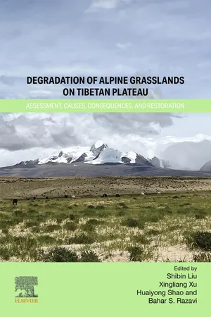 Degradation of Alpine Grasslands on Tibetan Plateau