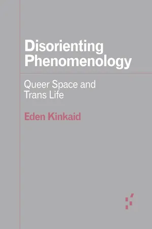 Disorienting Phenomenology