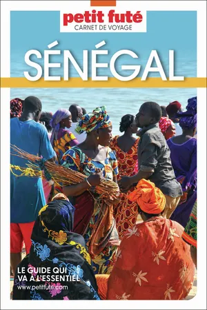 Guide Sénégal 2026 Carnet Petit Futé