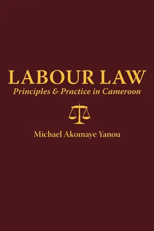 Labour Law: Principles and Practice in Cameroon