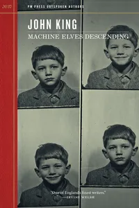 Machine Elves Descending_cover