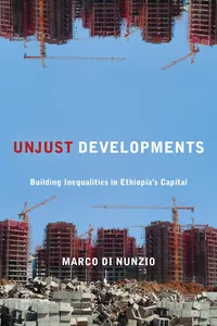 Unjust Developments_cover