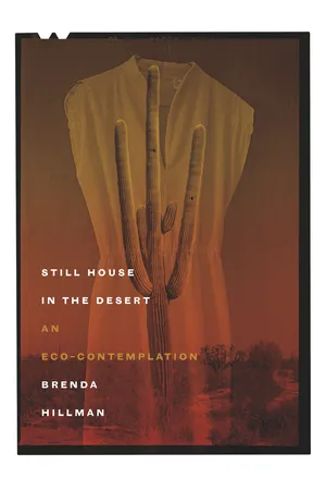 Still House in the Desert
